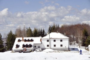 srb besna kobila