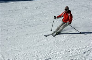 tips black diamond ski poles 295x195