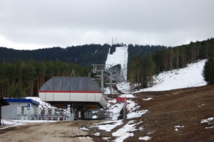 tornik2230308