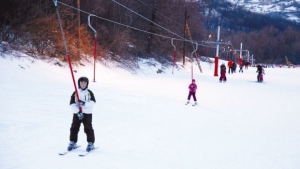 vidlicpirot stara planina620