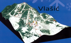 vlasic640x389