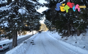 zlatar 960x584 tos