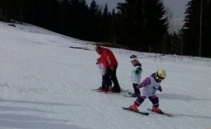 zlatar080220142480