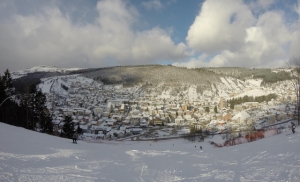 zlatarjan2015640