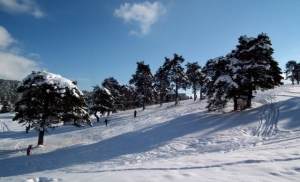 zlatibor sneg 640x389