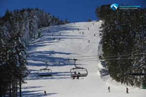 zlatibor tornik a885