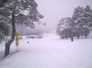 Tornik, 22.12.2011. - Foto: Dogac na Forumu