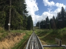 Kopaonik - Bob na Å¡inama