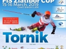 Fis kup 2019