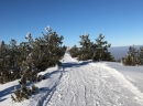 Goč, Vrnjačka Banja - januar 2017. - foto: nikolax - na forumu sajta