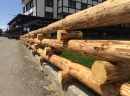 Kopaonik - Grand - Ograda zelenila