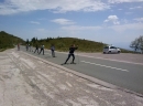 Roller ski