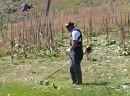 Stara planina - Košenje trave na ski stazi "Sunčana dolina"