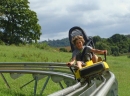 Wiegand - Alpine coaster