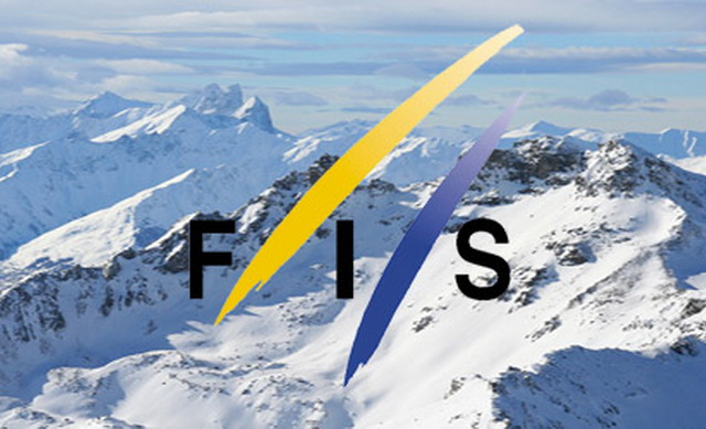 fis logo