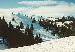 jahorina jas