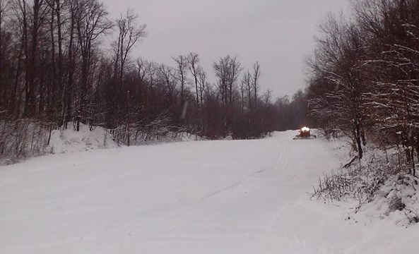rajkovo593
