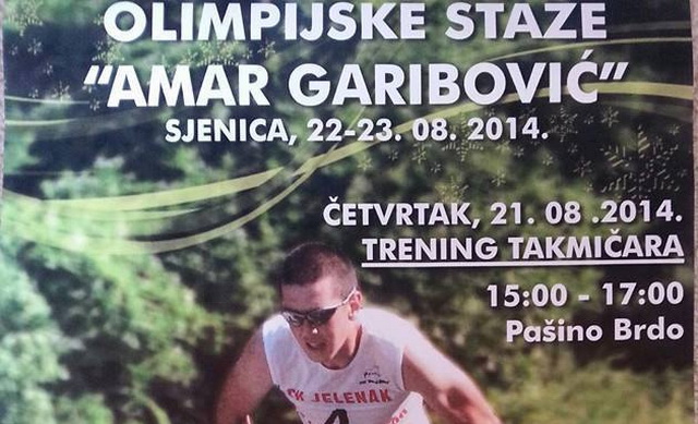 skjenicaamar 22082014640
