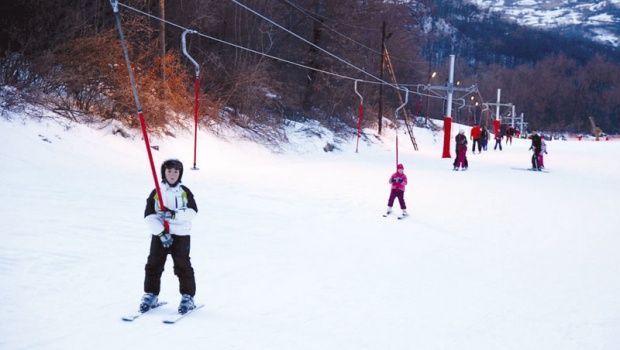 vidlicpirot stara planina620