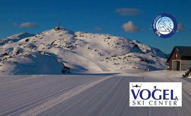 vogel012abc