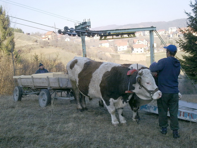 zlatar22112011047640