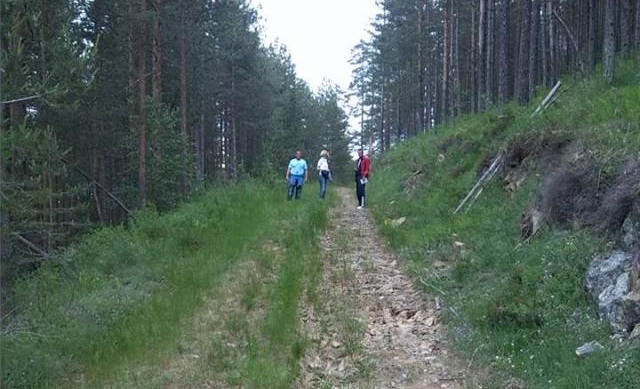 zvezda zlatibor nord