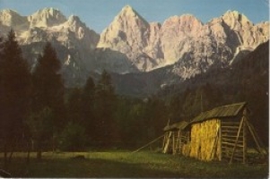 kranjskagoraist3