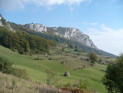 mucanjpdzezelja