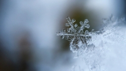 snowflake12