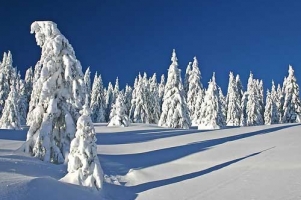 kopaonik sneg