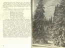 Brevibac, Beli Kopaonik - Na Pančićevom grobu