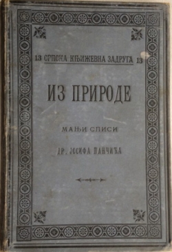 Iz prirode Josif PancicslikaXL59438519