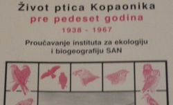 pticekop2480x292