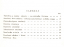 Mala škola smučanja -  1972 Sadržaj