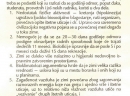 Svi na sneg - 1991