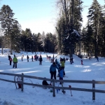 kozara 130119 2