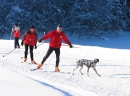 Kranjska Gora - Cross Country