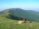 Stara planina - leto