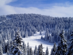 kopaonikol 1024x768