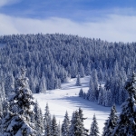 kopaonikol 1024x768