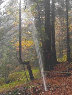 Nacionalni park Kopaonik - Gejzer, Metođe