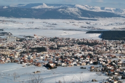 3sjenica