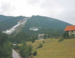 tornik3343