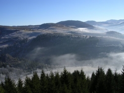zlatar008