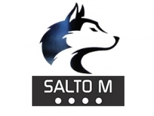 saltom250x2