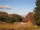 Zimska bajka - Kopaonik