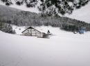 Vila JELA - Tornik, Zlatibor