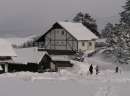 Vila JELA - Tornik, Zlatibor
