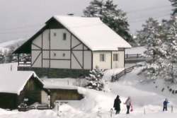 vilajelka300x200