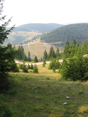 Ime: skrivena_pri_vrhu.jpg
Pregleda: 702
Veliina: 38,6 KB